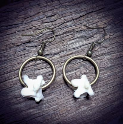 Afbeeldingen van Oorhangers Python